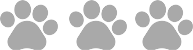 A paw print is shown in gray on a green background.