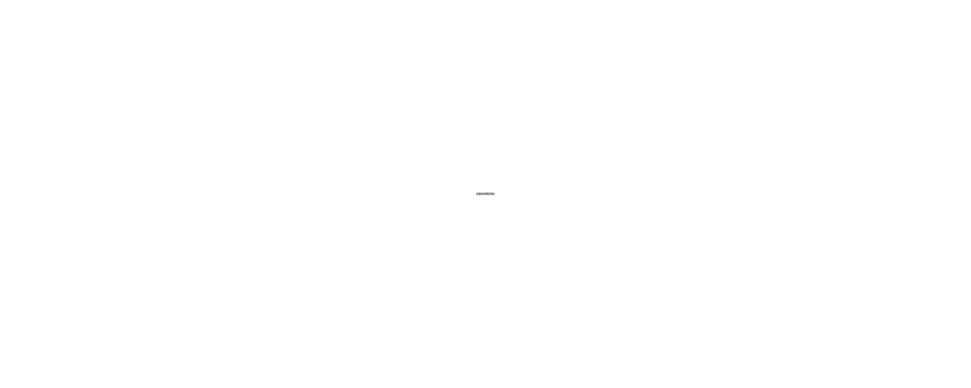 Nose To Toes Grooming